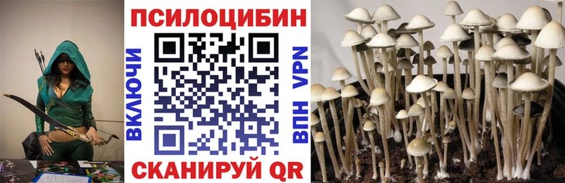 Псилоцибиновые грибы MAGIC MUSHROOMS  где купить наркоту  Спасск-Рязанский 